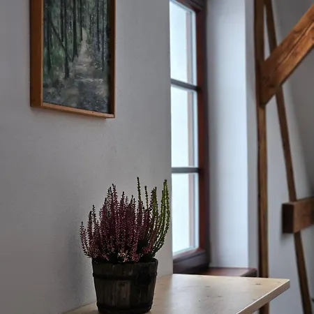 Karolina - Apartment *