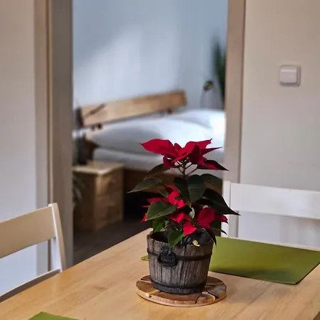 Apartment Karolina -